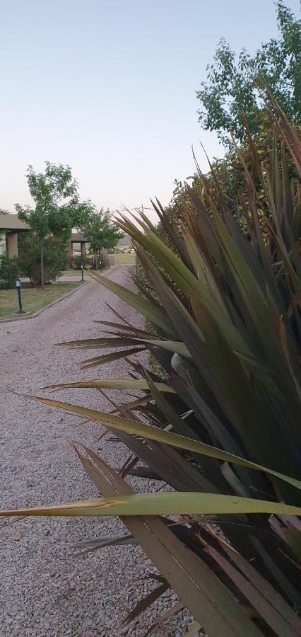 مبيت وإفطار San Andres de las Sierras ألتو سان أندريس المظهر الخارجي الصورة